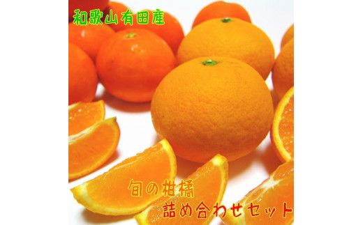 旬のご家庭用 柑橘詰め合わせ セット 約2.5kg【農家直送】【和歌山県産】【訳あり】【先行予約・2025年1月中旬～4月下旬発送】