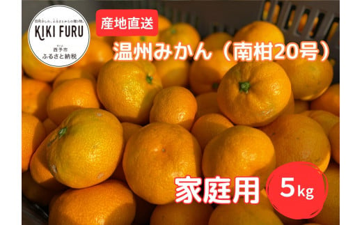 ＜愛媛県西予市産 温州みかん（南柑20号）家庭用 約5kg＞ 果物 くだもの ミカン 蜜柑 柑橘 フルーツ 訳あり ワケアリ サイズ不揃い キズあり 食べて応援 特産品 段畑みかん 愛媛県 西予市【常温】