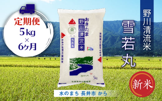 【定期便6ヶ月】【令和6年産新米】【特別栽培米】野川清流米「雪若丸」5kg×1袋×6ヶ月_A118(R6) 693478 - 山形県長井市