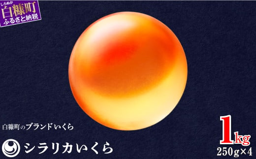 2023年10月以降順次お届け※シラリカいくら 1kg(250g×4) お好みに味付け