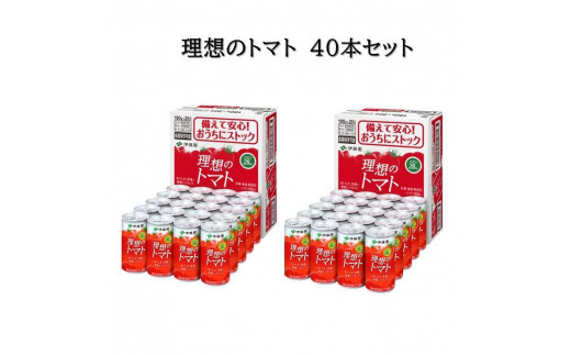 ふるさと納税 長野県 松本市 伊藤園 缶 理想のトマト190ml 20本入×2箱