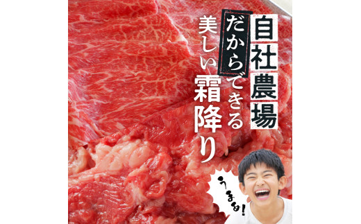 お試し ！ 厳選 ！ 国産 牛肉 切り落とし 400g 小分け 真空パック