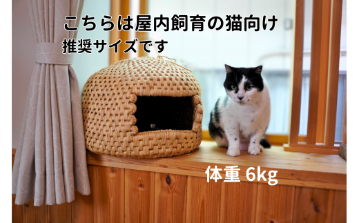 こちらのサイズは屋内飼育の猫向け推奨サイズです（画像の猫の体重は6kgです）