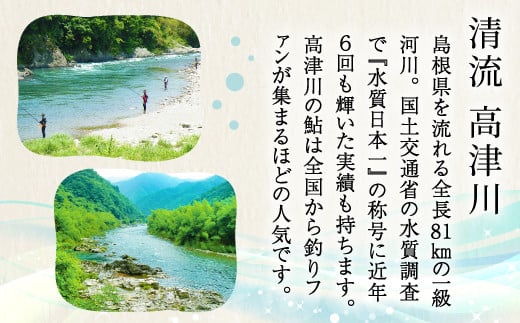 清流高津川は国交省の水質調査で日本一に6回も輝いた実績を持つ一級河川です。高津川の鮎は全国から釣りファンが集まるほどの人気です。