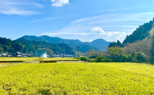 四季折々の風景、清々しい空気、清涼な水のある環境で作られる鶴喰米は、身体に優しい安心・安全な返礼品です。