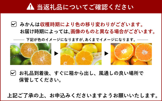 宇城市産 早生みかん 約5.5kg 大小混合 うちやま果樹園 柑橘 果物