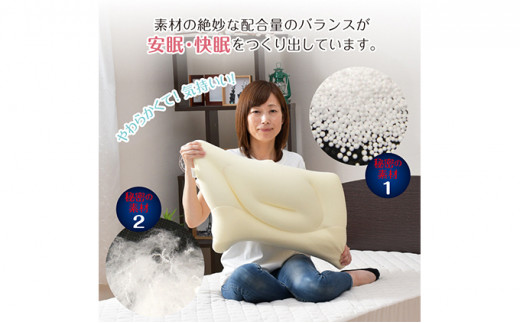 Luna Fit pillow(ルナフィットピロー） ２個セット【配送不可：北海道