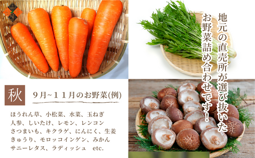 画像はイメージです。お届けする野菜の種類は季節に応じて変わります。