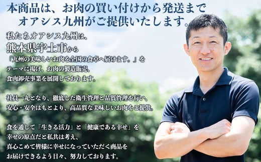 熊本県宇土市のふるさと納税 117-12　オアシス九州　薄切り牛タン(軟化加工)600ｇ　冷凍