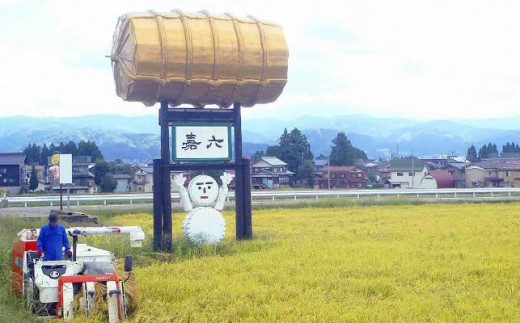 魚沼産 コシヒカリ 2kg 特別栽培米 魚沼の宝物 嘉六 農家のこだわり