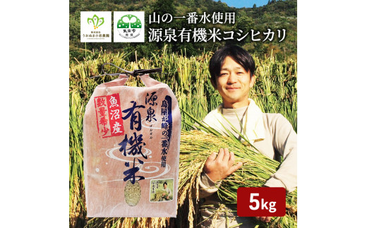 令和7年産 山の一番水使用 源泉有機米コシヒカリ 精米5kg 米 こめ お米 コメ こしひかり 新潟県 魚沼市 魚沼 魚沼産