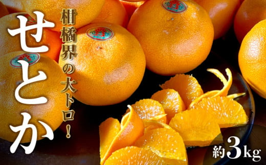 M102-0009【2024年出荷】柑橘界の大トロ！せとか　(約3kg) 473543 - 香川県三豊市