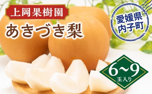 上岡果樹園のあきづき梨（2）【6～9玉入り】【フルーツ 果物 くだもの 食品 人気 おすすめ 送料無料】