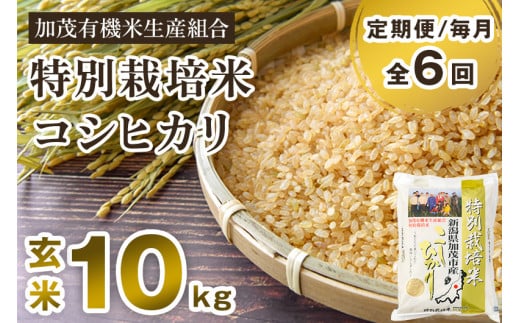 定期便12ヶ月毎月お届け】新潟県加茂市産 特別栽培米コシヒカリ 玄米
