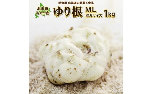 <早期予約>北海道ニセコ町 ゆり根M-L混みサイズ1kg【2024年産】【3200301】 1018224 - 北海道ニセコ町