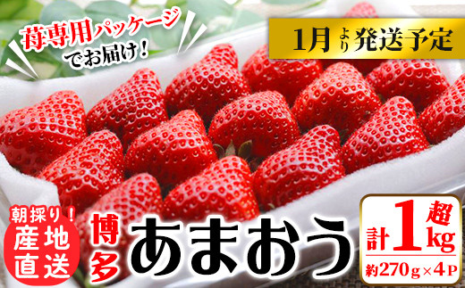 いちごのふるさと納税 カテゴリ・ランキング・一覧【ふるさとチョイス】