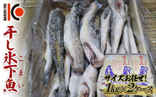 干し氷下魚(サイズお任せ)1kg×2ケース こまい コマイ 魚 白身魚 おつまみ 肴 おかず F4F-2597 1024540 - 北海道釧路市
