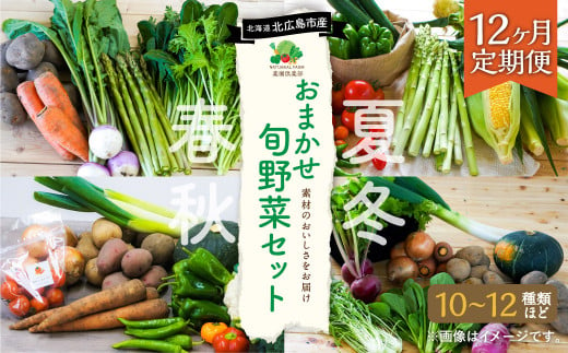 【12ヶ月定期便】おまかせ旬野菜セット