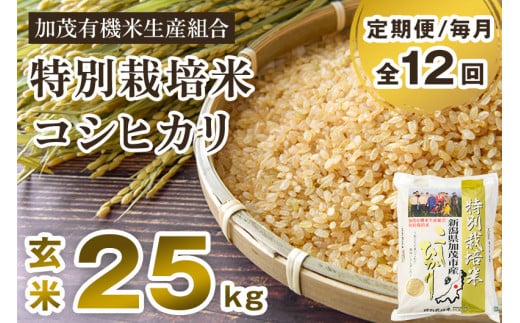 お米 こしひかり  25㎏ 玄米 有機栽培