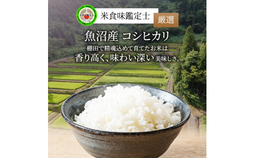 №5762-0753]令和5年産 無洗米 米食味鑑定士 厳選 魚沼産 コシヒカリ