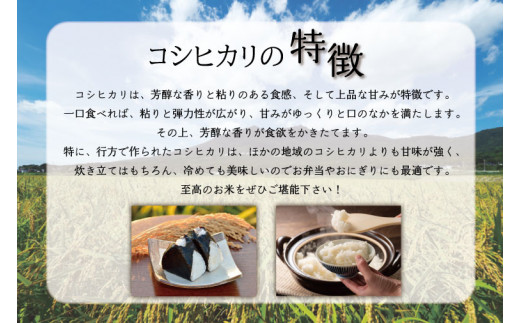 ふるさと納税 【月1回5kg×3回定期便】木村式自然栽培の玄米 ヒノヒカリ