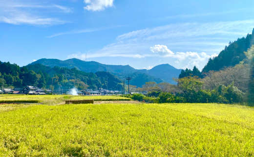 【令和5年産】 鶴喰米 耀き・力 輝き食べ比べ 4kg