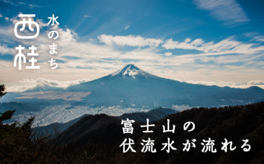 No.468 ネクタイ 富士桜工房 とんぼ 深蘇芳 ／ シルク おしゃれ 伝統