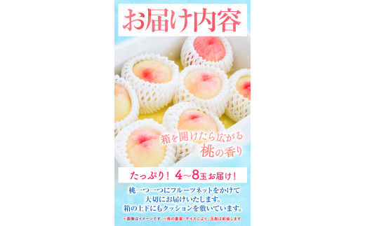 先行予約】岡山の桃 もも 1.3kg 4~8玉前後 岡山県産 ご家庭用《2024年6