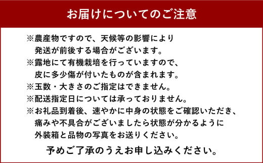 特別栽培 みかん 10kg サイズミックス