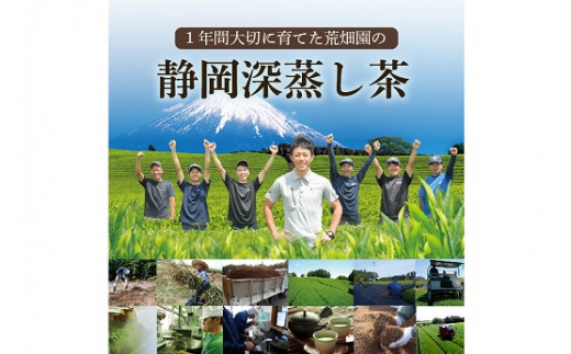 048-21 静岡牧之原市ブランド茶 望 銀印 ティーパック（2ｇ×30包）4袋