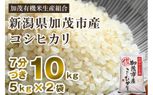 令和5年産新米】【7分づき】新潟県加茂市産 特別栽培米コシヒカリ 精米