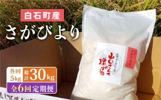 【先行予約】【6回定期便】 特別栽培米 さがびより 5kg 白米 ～山口さんちの贈り物～【y'scompany】さがびより サガビヨリ [IAS016] 1012048 - 佐賀県白石町