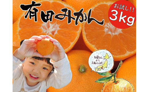 はじめまして 有田みかん(和歌山県産) お試し3kg[数量限定]/ORYY推奨 ※2025年11月上旬〜12月下旬頃に順次発送予定