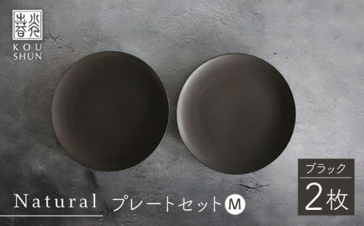 波佐見焼】Naturalシリーズ プレート M 2枚セット（ネイビー） 皿