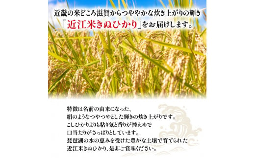 令和5年産 きぬひかり 玄米 30kg 近江米 新米 米粉 200g付