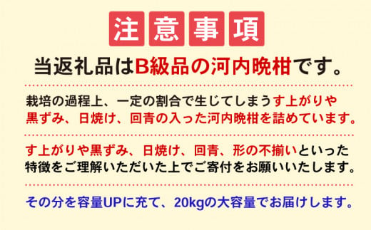 愛媛県愛南町のふるさと納税 【B級品】ジュース向き 訳あり 河内晩柑 20kg【 フードロス ジュース 用】（なくなり次第終了） 愛南ゴールド 搾汁 す上がり 粒化症 傷 日焼け 黒ずみ 回青 サイズ 不揃い 大容量 愛南ゴールド 吉本農園 愛南町 愛媛県