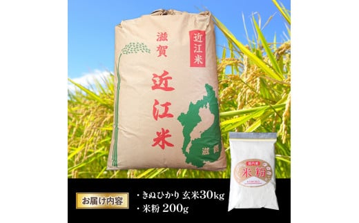 令和5年産 きぬひかり 玄米 30kg 近江米 新米 米粉 200g付