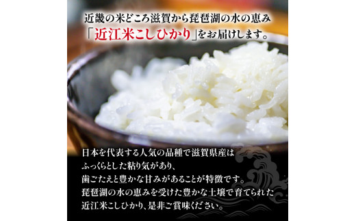 令和5年産 こしひかり ミルキークイーン 食べ比べ 6kg 近江米 - 滋賀県