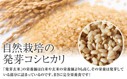 令和5年・新潟県産｜JAS有機栽培アイガモ農法 コシヒカリ 発芽玄米 2kg