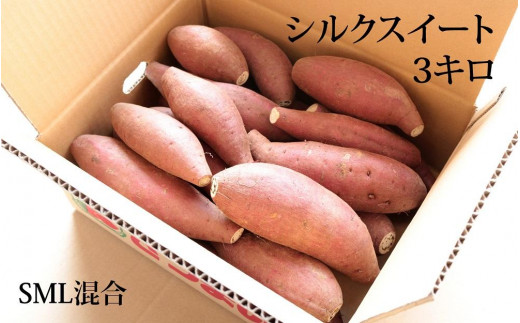 2月末までに出荷 熟成 シルクスイート 3kg ( 1箱 ) サイズ混合