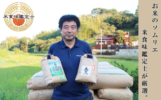 令和５年新米》【米屋新蔵】千葉県の新品種『長狭米 粒すけ』10kg