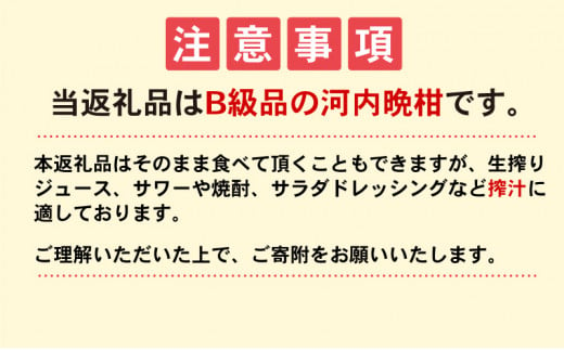 愛媛県愛南町のふるさと納税 【B級品】ジュース向き 訳あり 河内晩柑 20kg【 フードロス ジュース 用】（なくなり次第終了） 愛南ゴールド 搾汁 す上がり 粒化症 傷 日焼け 黒ずみ 回青 サイズ 不揃い 大容量 愛南ゴールド 吉本農園 愛南町 愛媛県