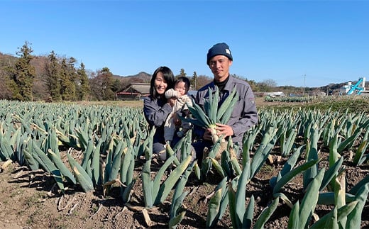 群馬県下仁田町のふるさと納税 伝統栽培の下仁田ねぎ。寒い冬に最高のすき焼きを♪（M 20本） とろける 甘い ねぎ ネギ 王様ねぎ 殿様ねぎ 特産 栄養たっぷり ブランド 上州ねぎ すきやき F21K-332