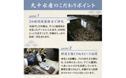 2024年4月下旬発送】丸十水産 広島ブランド牡蠣 殻付き かき小町 約3kg