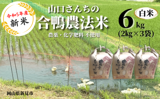 令和5年度 新米】山口さんちの合鴨農法米 白米6kg (2kg×3袋) - 岡山県