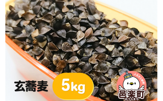 玄蕎麦 5kg×1袋 サイトウ・コーポレーション 飼料 880760 - 群馬県邑楽町
