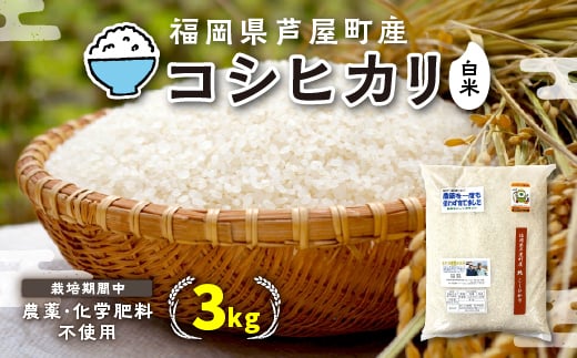 ＜令和5年産＞コシヒカリ　農薬・除草剤不使用(栽培期間中) 福岡県芦屋町産 ＜白米＞3kg【1077631】 789399 - 福岡県芦屋町