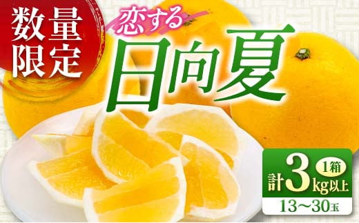 数量限定 恋する日向夏 計3kg以上 フルーツ 果物 柑橘 みかん 日向夏 国産 食品 デザート 送料無料_AA53-23