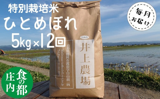 食の都庄内　【定期便12回】井上農場の特別栽培米ひとめぼれ5kg×12回