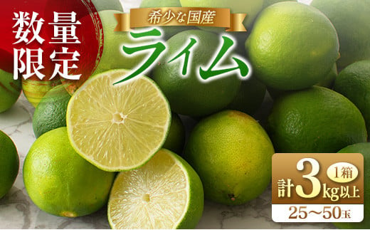 ≪数量限定≫希少な国産『ライム』計3kg以上 フルーツ 果物 柑橘 国産